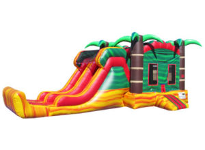 Bounce House and Slide Combo Inflatables